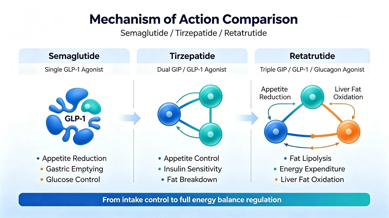 figure-1-mechanism-comparison-semaglutide-tirzepatide-retatrutidewebp figure-1-mechanism-comparison-semaglutide-tirzepatide-retatrutidewebp